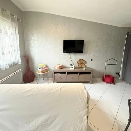 Fully Equipped With Garden Apartment Pessac