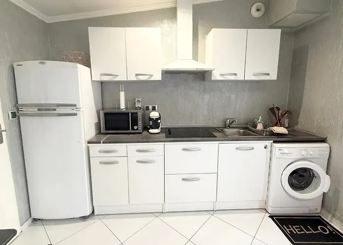 Lejlighed Fully Equipped With Garden Pessac