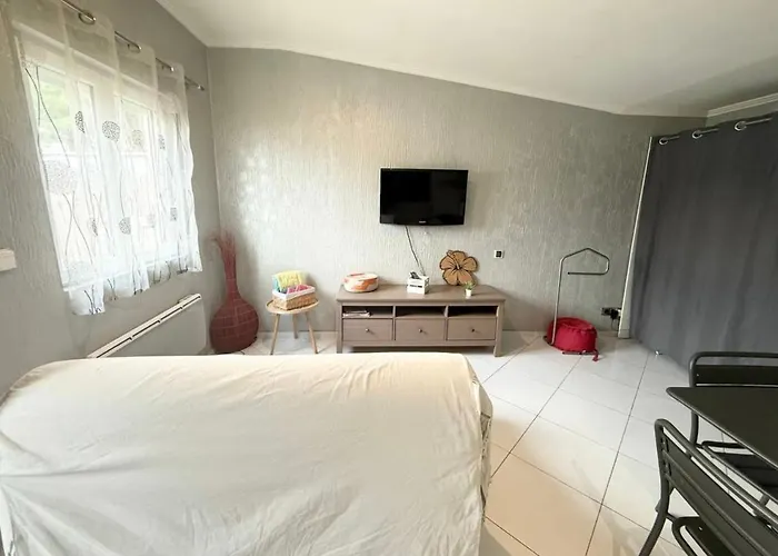 Fully Equipped With Garden Lejlighed Pessac